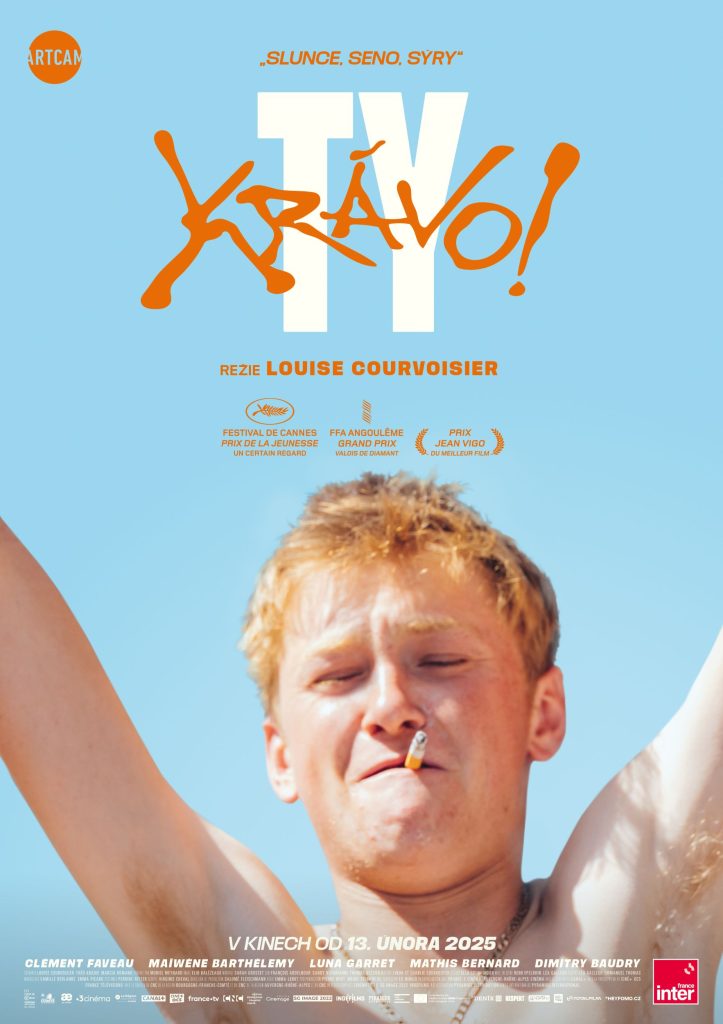Kulturní a kreativní centrum Ostrov - TY KRÁVO!