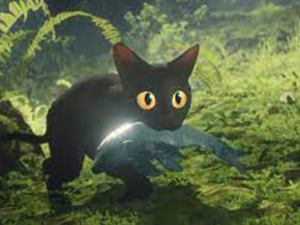 Kulturní a kreativní centrum Ostrov - KOČIČÍ ODYSEA