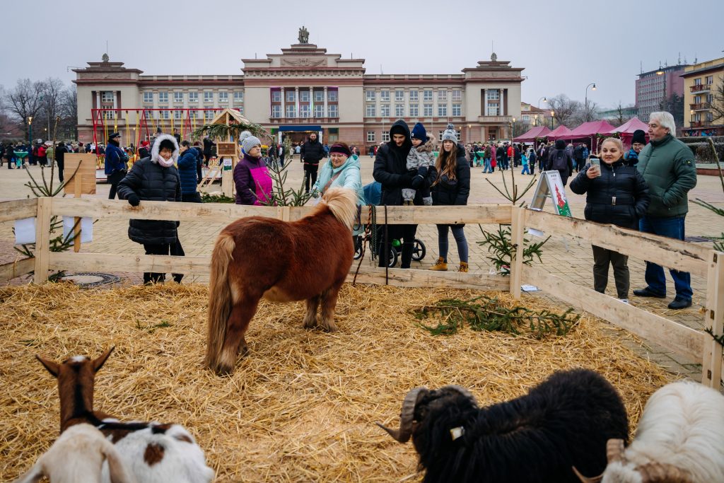 Kulturní a kreativní centrum Ostrov - OSTROVSKÉ VÁNOCE - obr. 7