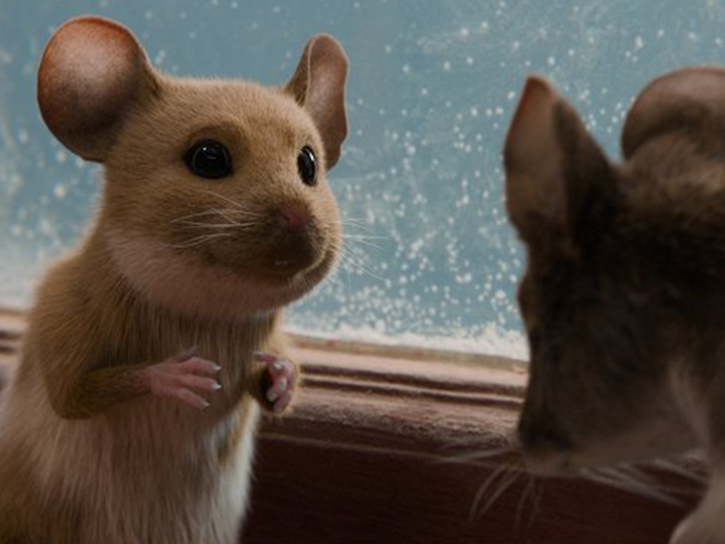 Kulturní a kreativní centrum Ostrov - MYŠI V AKCI: VÁNOČNÍ PAST - obr. 1