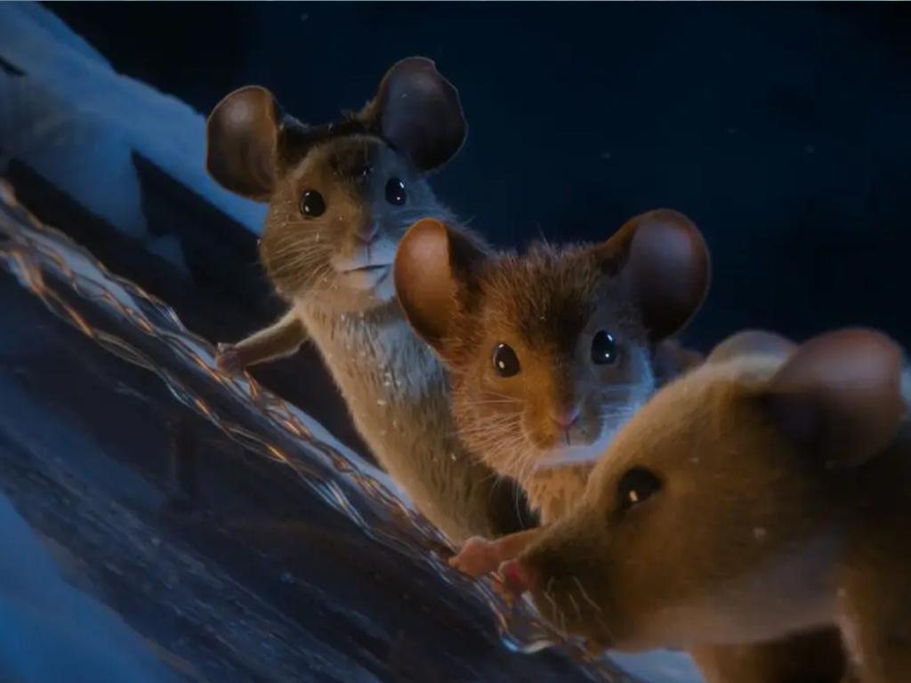 Kulturní a kreativní centrum Ostrov - MYŠI V AKCI: VÁNOČNÍ PAST - obr. 3