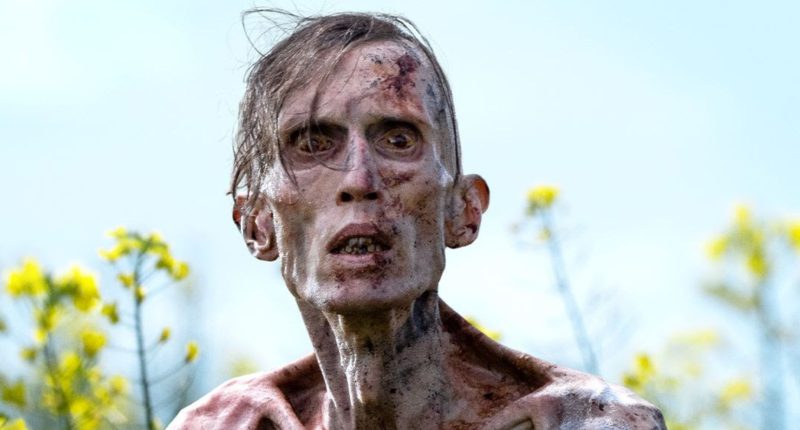 Kulturní a kreativní centrum Ostrov - 28 let poté: Chrám z kostí - obr. 2