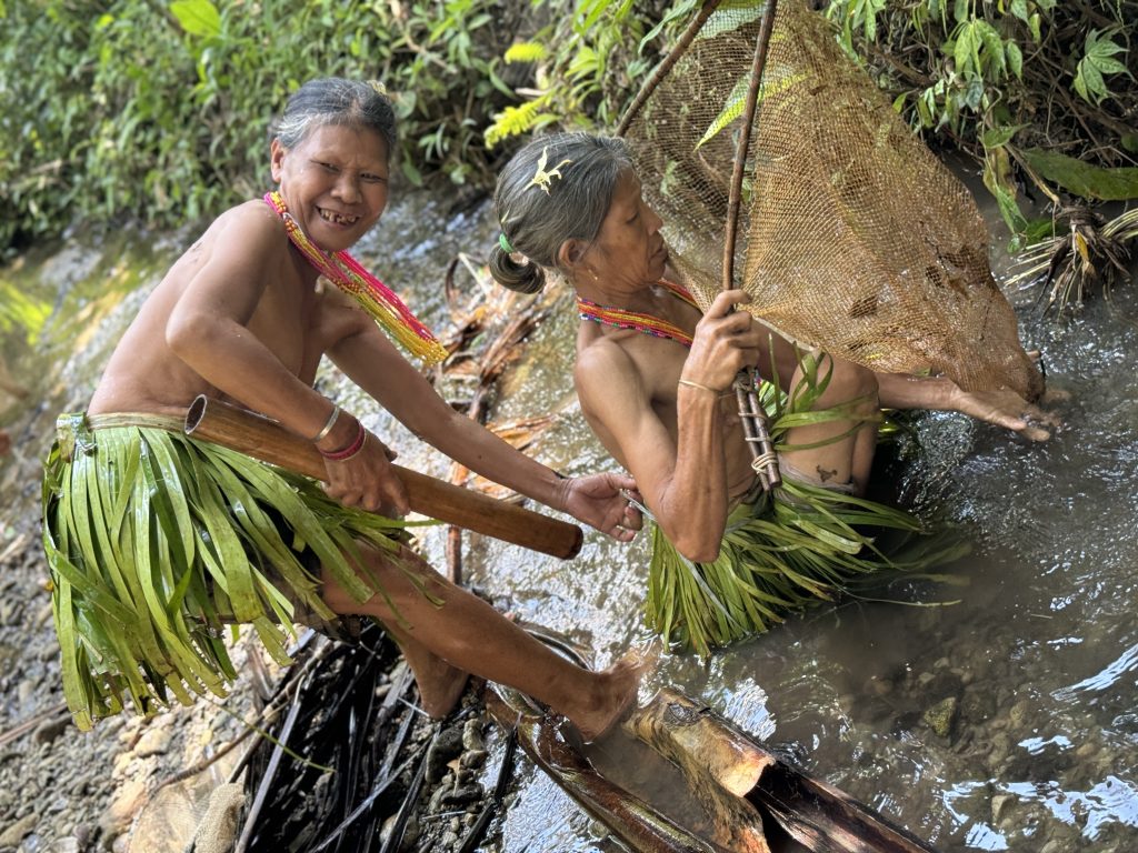 Kulturní a kreativní centrum Ostrov - Ladislav Zibura – Dvě cesty do džungle - obr. 3