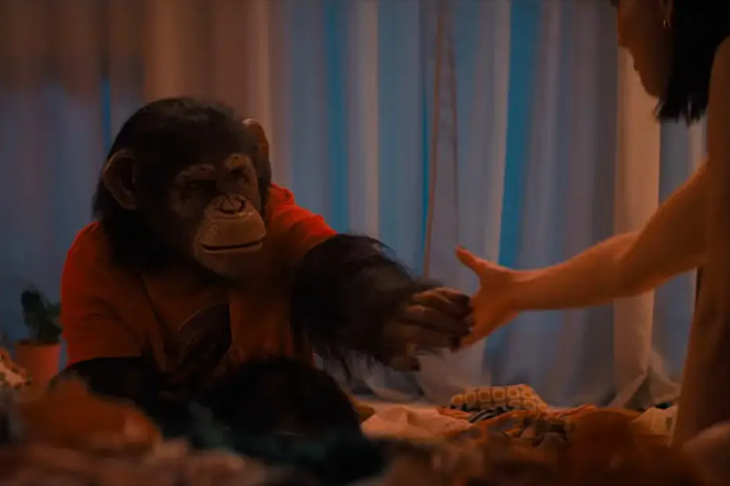 Kulturní a kreativní centrum Ostrov - PRIMÁT - obr. 2