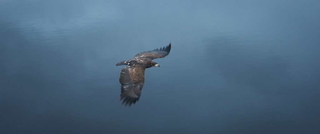 Kulturní a kreativní centrum Ostrov - Při zemi - obr. 1