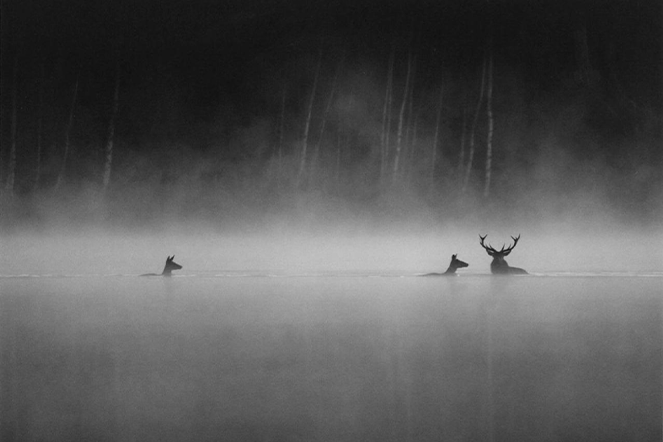 Kulturní a kreativní centrum Ostrov - ŠEPOT LESA - obr. 2