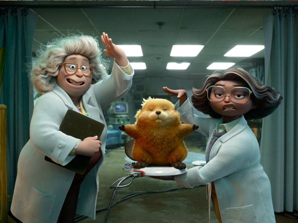 Kulturní a kreativní centrum Ostrov - NA SKOK DO DIVOČINY - obr. 2