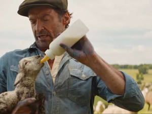 Kulturní a kreativní centrum Ostrov - Béé team na stopě