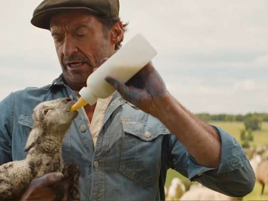 Kulturní a kreativní centrum Ostrov - Béé team na stopě - obr. 1