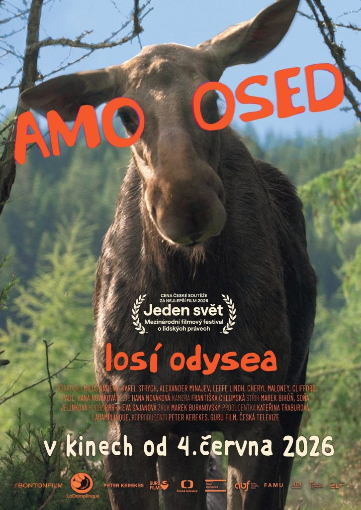 Kulturní a kreativní centrum Ostrov - AMOOSED: LOSÍ ODYSEA