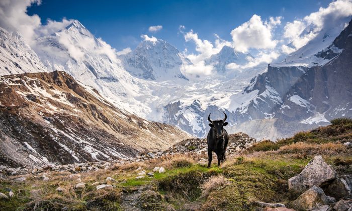 Pavel Svoboda INDIE_01