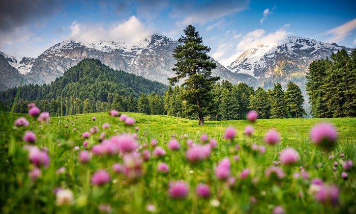 Pavel Svoboda INDIE_06