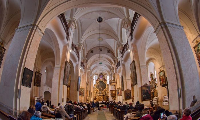 Siegl_Zaječov_Rybovka_2025 7