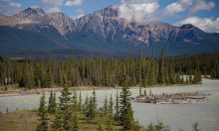 Miloslav-Martan-Kanada-2015-5