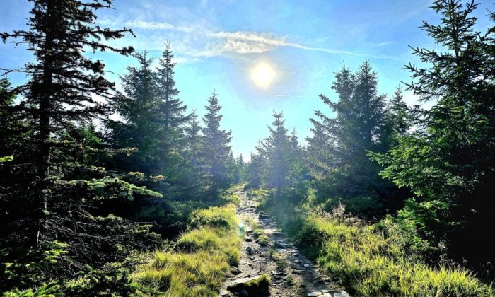 Miloslav-Sasek-stezka-ceskem-9-1024×768