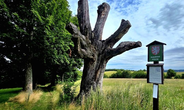 Miloslav-Sasek-stezka-ceskem-1