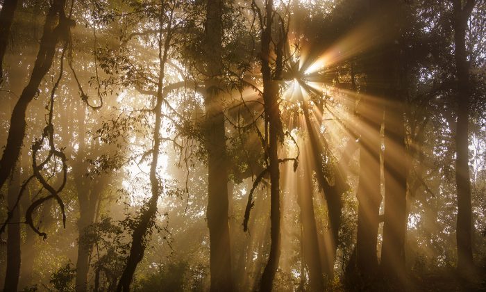 Pavel Svoboda Nepal_11