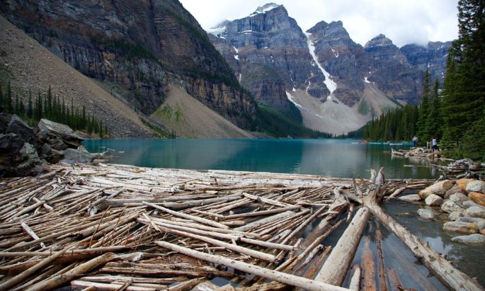 Miloslav-Martan-Kanada-2015-8