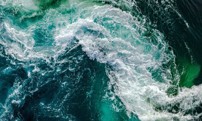 Mari-Brazdil-serenity-explorers-3