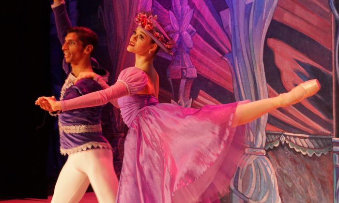 louskacek-foto-web-2