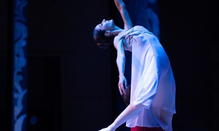 louskacek-foto-web-3