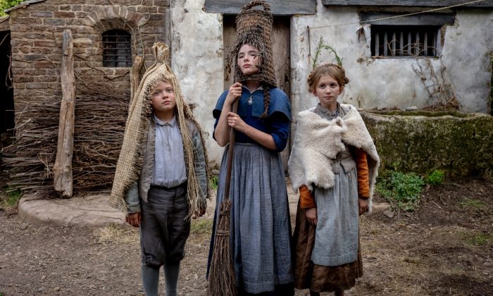 $$$MzywyRf-003-5x2Mzf