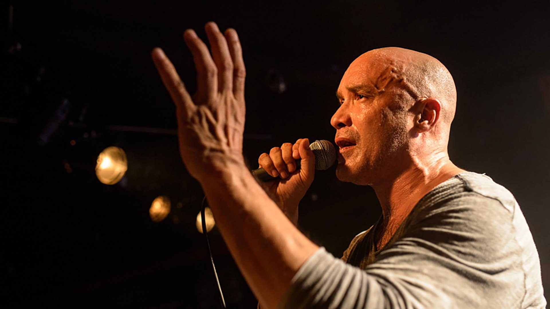 Dan Reed Trio / US Lucerna Music Bar