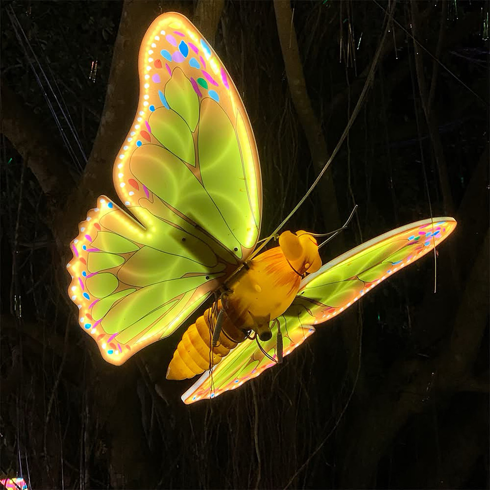 Winter World – Garden of Lights