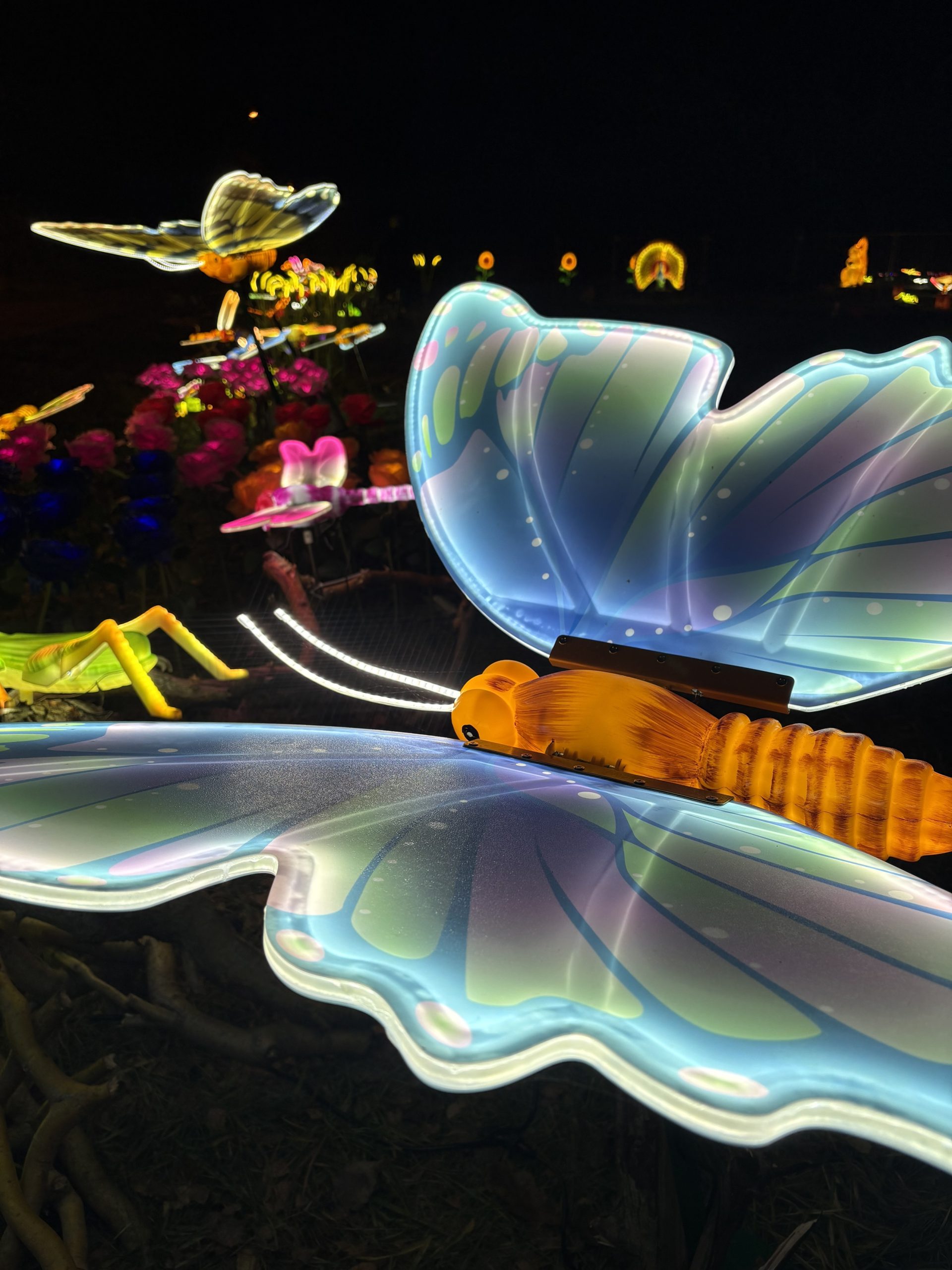 Winter World – Garden of Lights